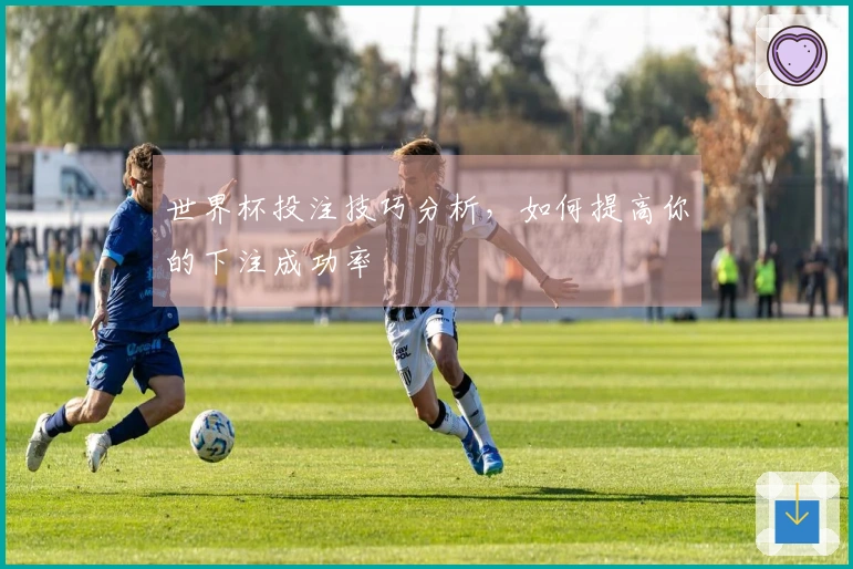 世界杯投注技巧分析，如何提高你的下注成功率