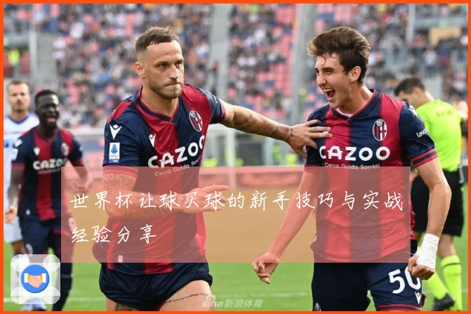 世界杯让球买球的新手技巧与实战经验分享