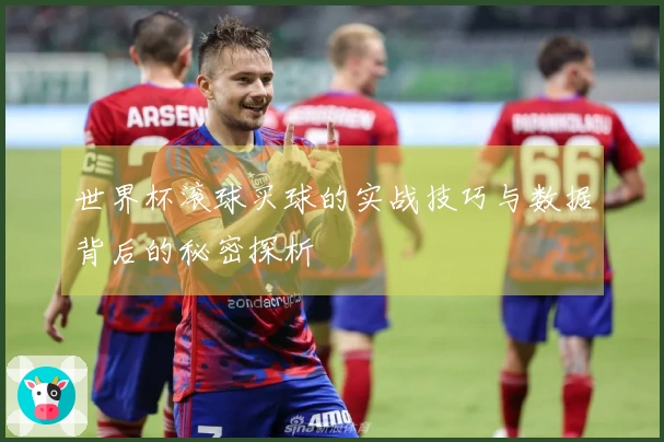 世界杯滚球买球的实战技巧与数据背后的秘密探析