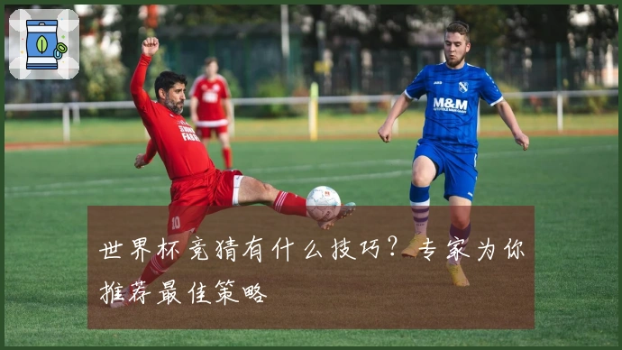 世界杯竞猜有什么技巧？专家为你推荐最佳策略