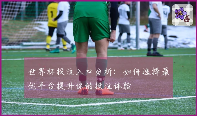 世界杯投注入口分析：如何选择最优平台提升你的投注体验