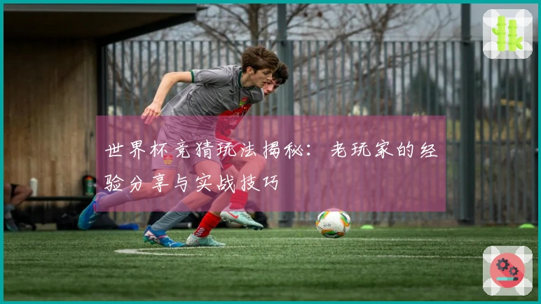 世界杯竞猜玩法揭秘：老玩家的经验分享与实战技巧