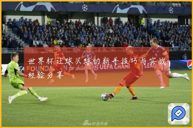 世界杯让球买球的新手技巧与实战经验分享