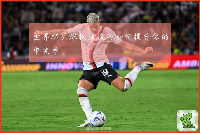世界杯买球投注技巧如何提升你的中奖率