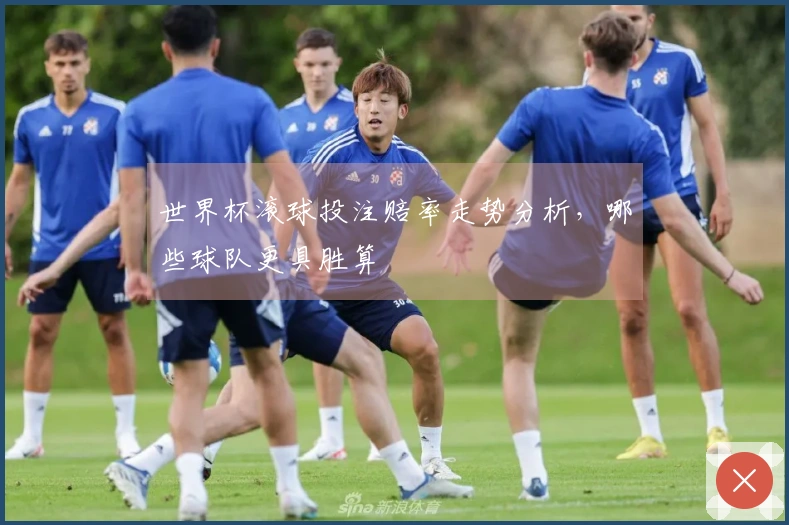 世界杯滚球投注赔率走势分析，哪些球队更具胜算