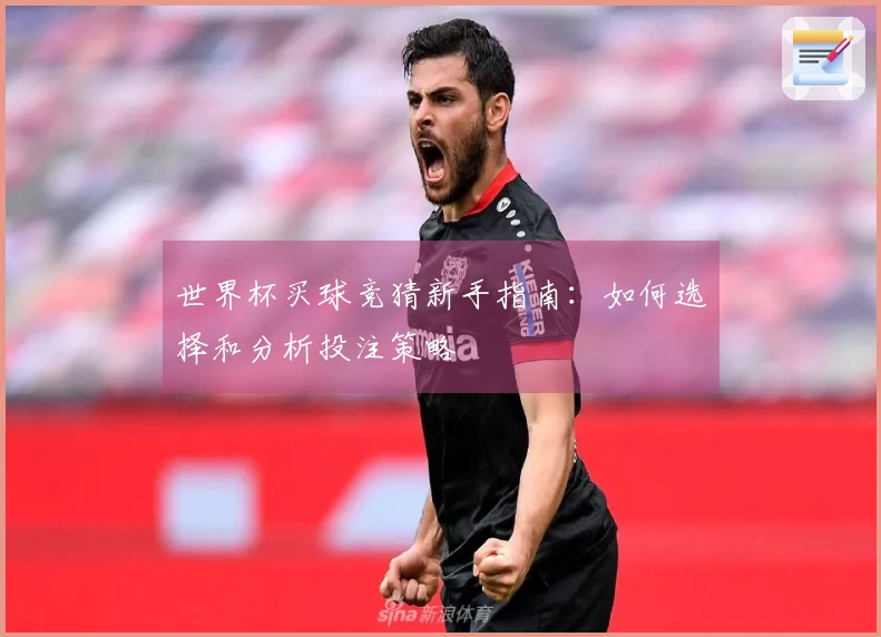 世界杯买球竞猜新手指南：如何选择和分析投注策略