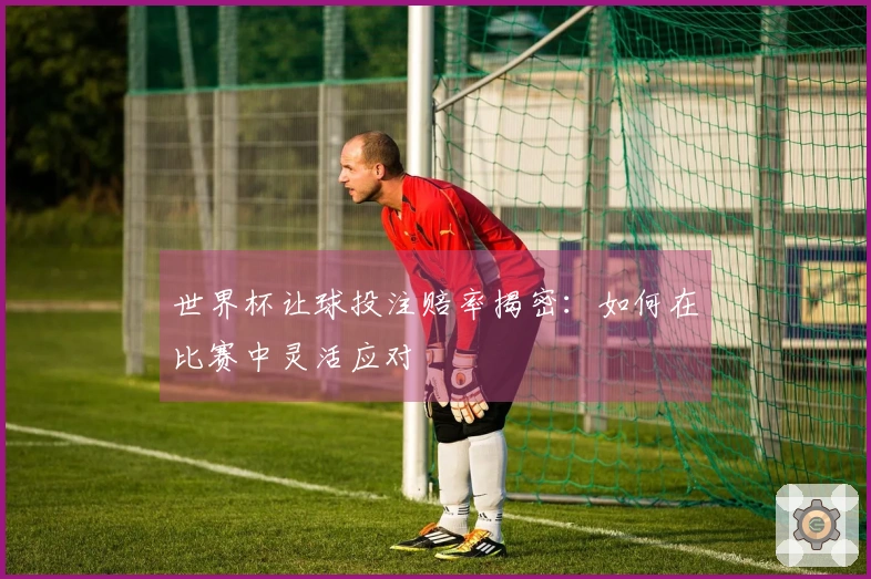 世界杯让球投注赔率揭密：如何在比赛中灵活应对