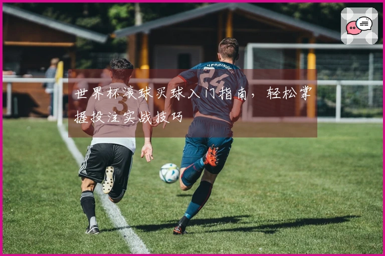 世界杯滚球买球入门指南，轻松掌握投注实战技巧