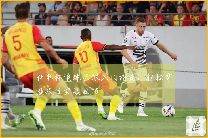 世界杯滚球买球入门指南，轻松掌握投注实战技巧