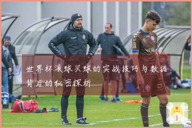 世界杯滚球买球的实战技巧与数据背后的秘密探析