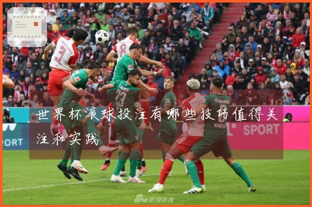 世界杯滚球投注有哪些技巧值得关注和实践