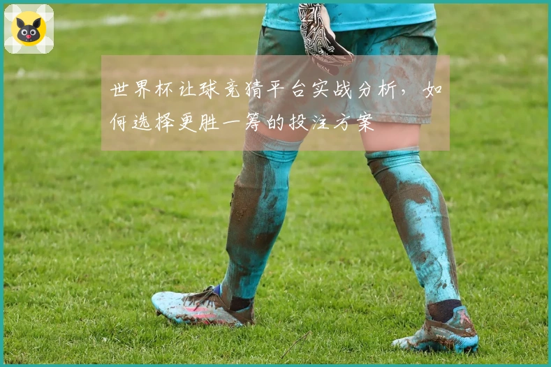 世界杯让球竞猜平台实战分析，如何选择更胜一筹的投注方案